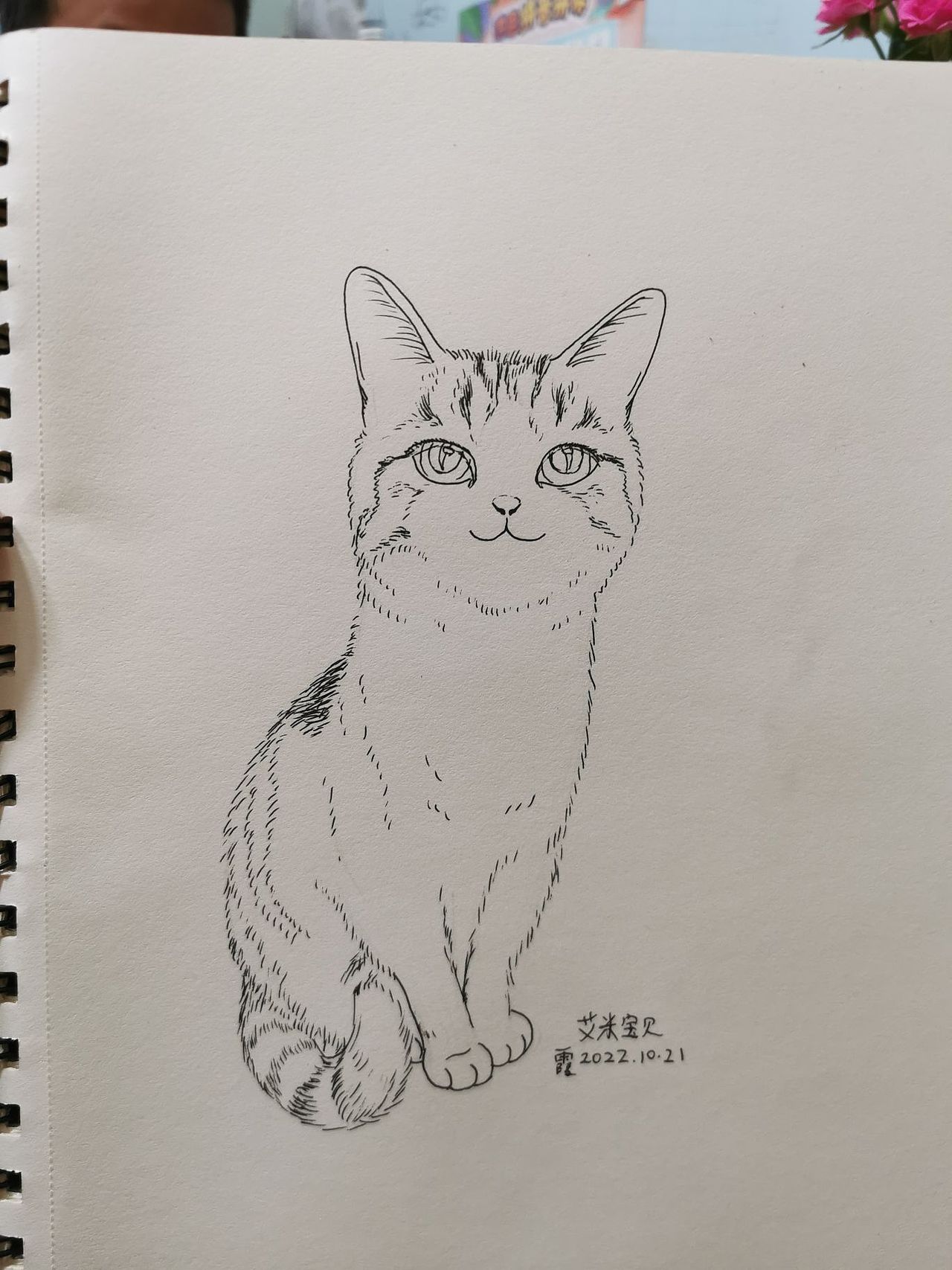 猫主子—艾米