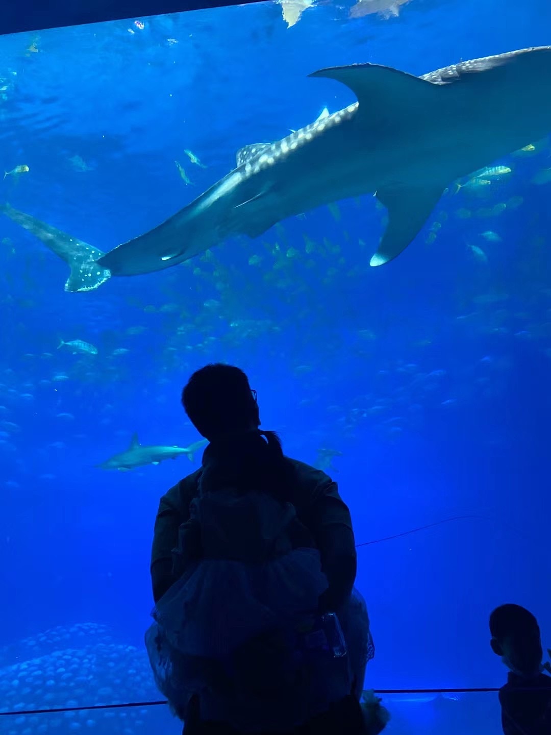 孩子需要的是更多的陪伴（图ZMjU0MDk2NzQw） - 其他三维 - 站酷设计师白无常C4D原创素材 - 站酷ZCOOL