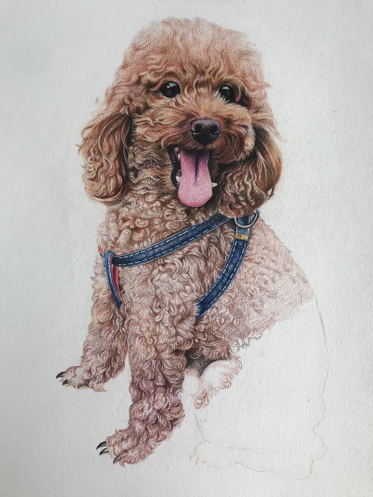 作品-肖战彩铅泰迪萌宠收录收藏夹查看更多彩铅宠物0添加表情喜欢ta的