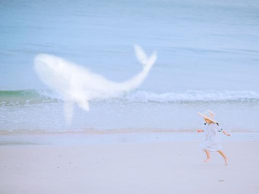 梦鱼和海螺