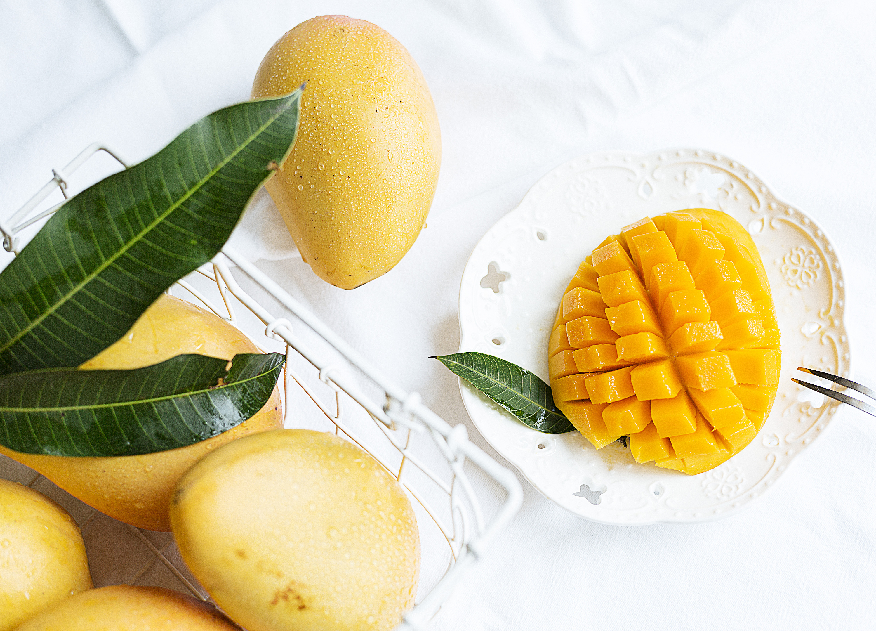 应季水果-芒果拍摄-广西百色芒果-大台农