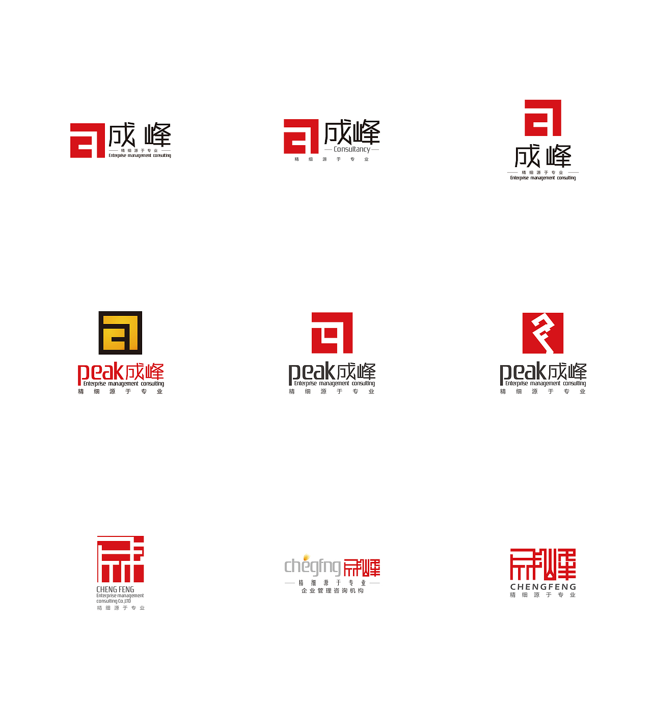 公司标志（图ZODkxNDM1OTY=） - 品牌 - 站酷设计师闪电XIA原创素材 - 站酷ZCOOL