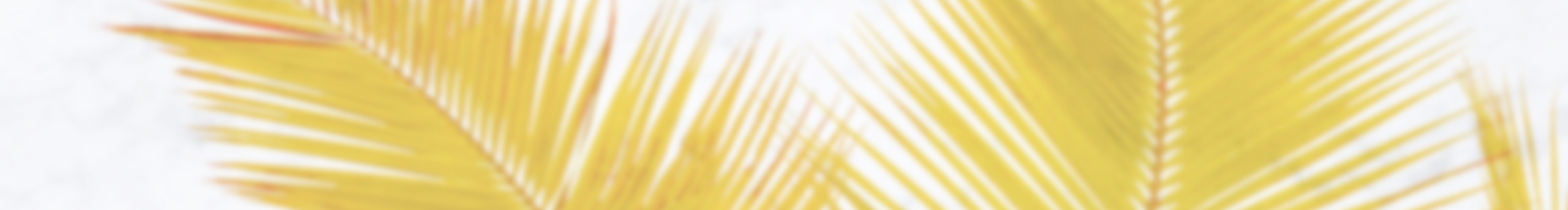 慧子米的个人主页（封面预览） - 主页封面设置 - 站酷设计师慧子米原创素材 - 站酷ZCOOL