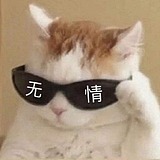 小6小6的头像