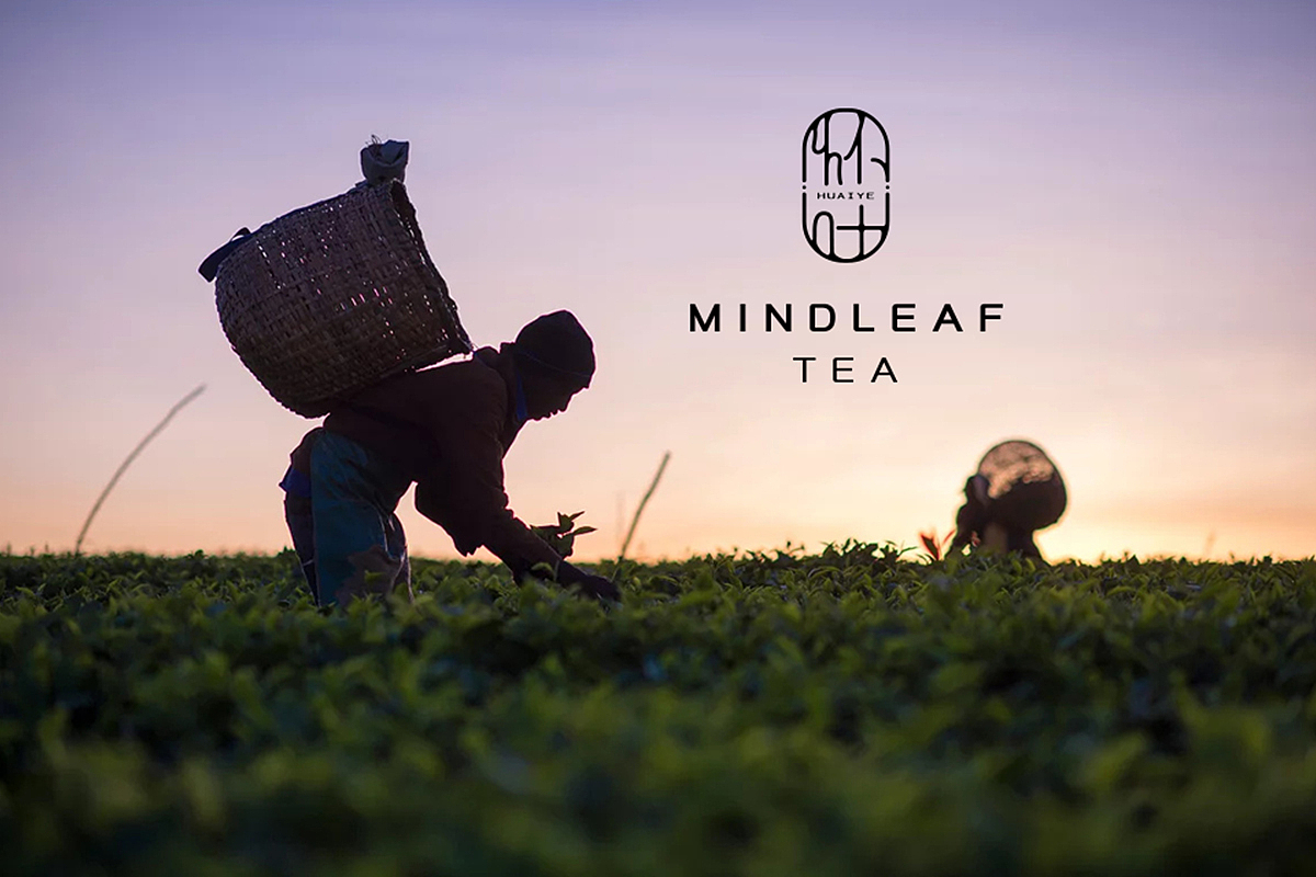 怀叶品牌设计|茶叶品牌|怀叶茶品|东德设计（图ZMTIyODI3NjQw） - 品牌 - 站酷设计师东德品牌设计原创素材 - 站酷ZCOOL