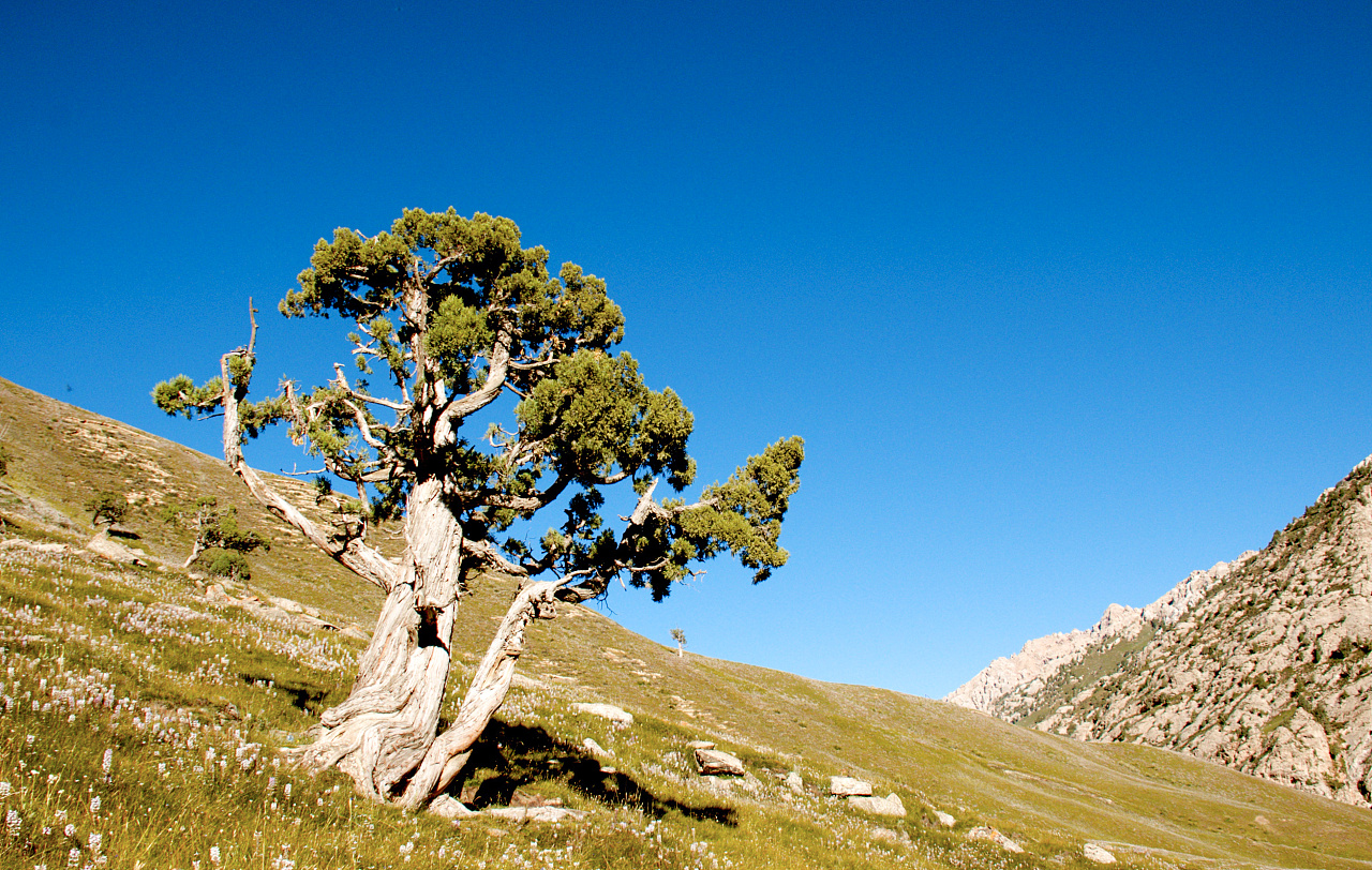 德令哈·柏树山|摄影|风光摄影|宇翔设影工作室 - 原创作品 - 站酷