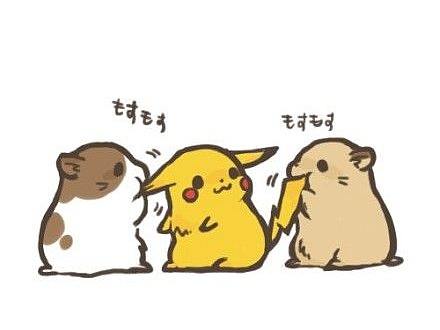 2019平面第一部分