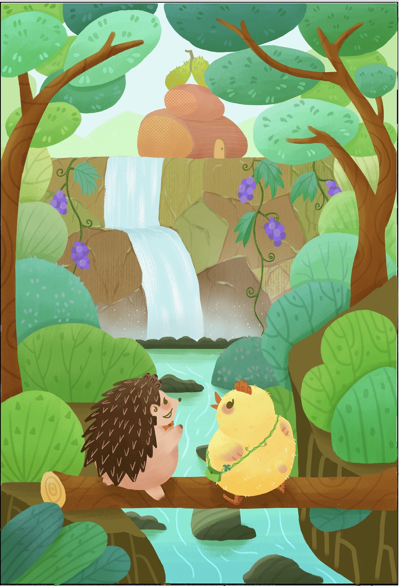 小鸡球球和小刺猬系列 儿童插画