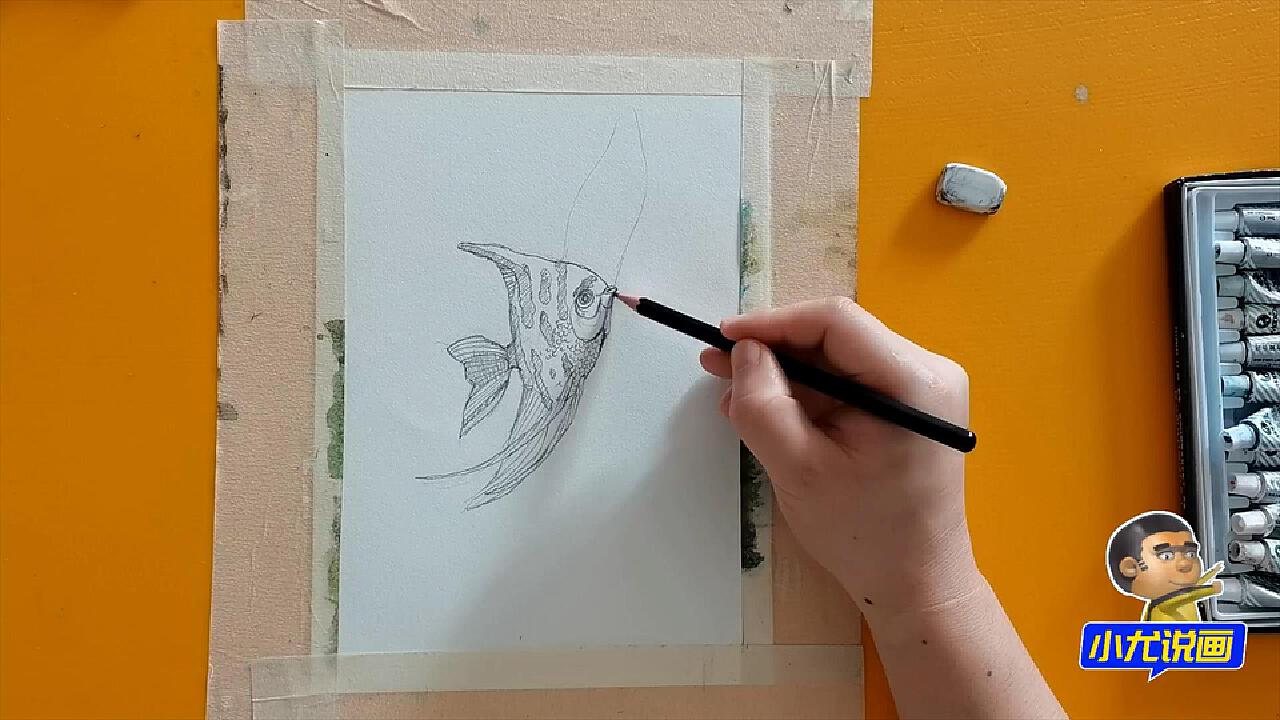 水彩画如何画海鱼
