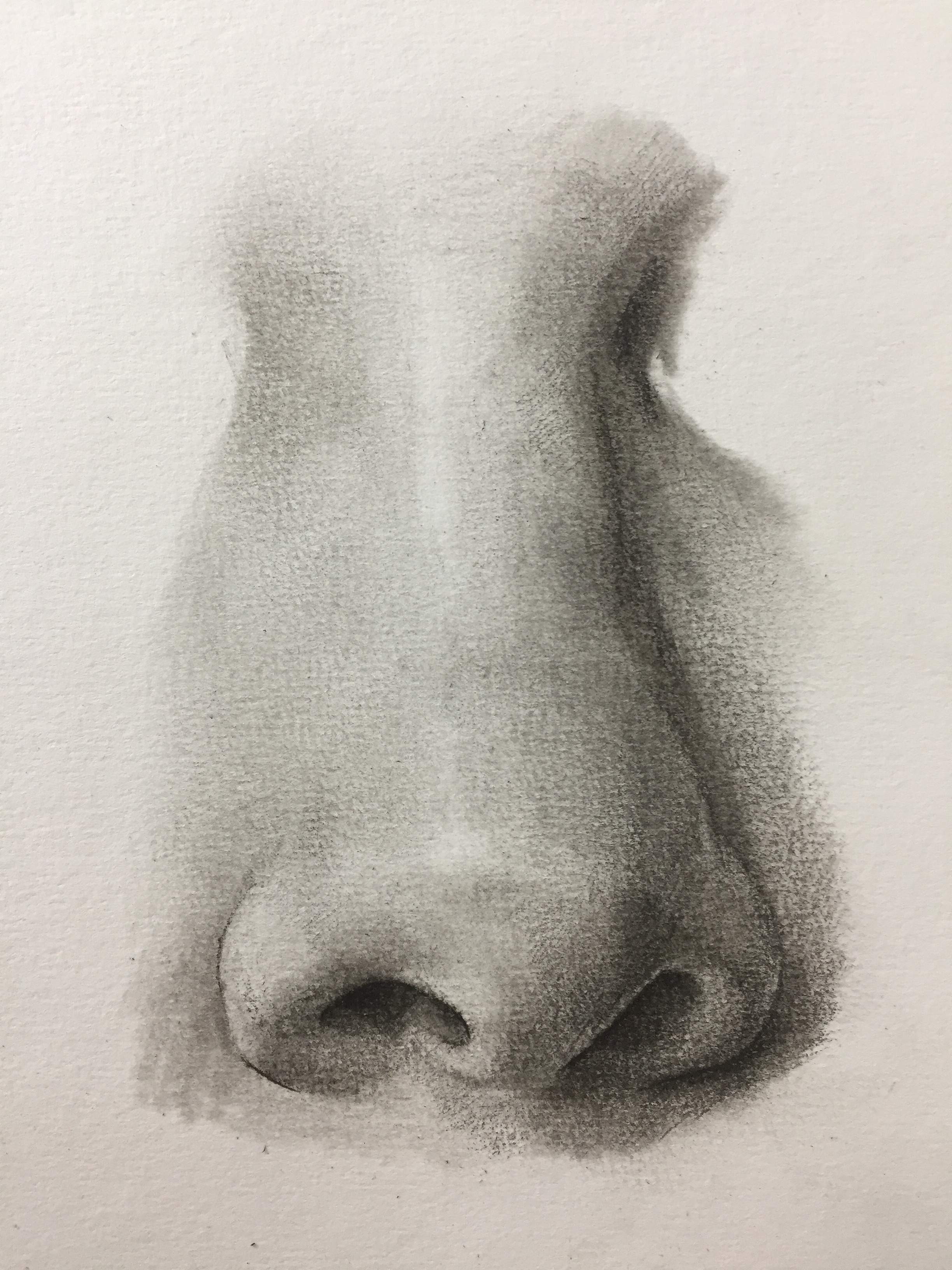 素描人像鼻子的画法图片