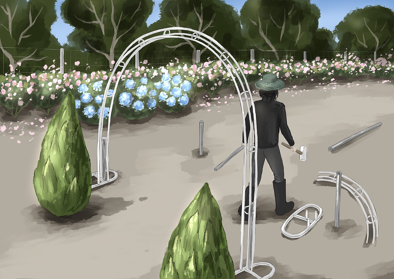 【治愈的花园】紫藤花架(插画)