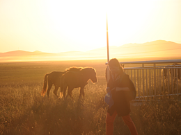 让我到草原上打个滚