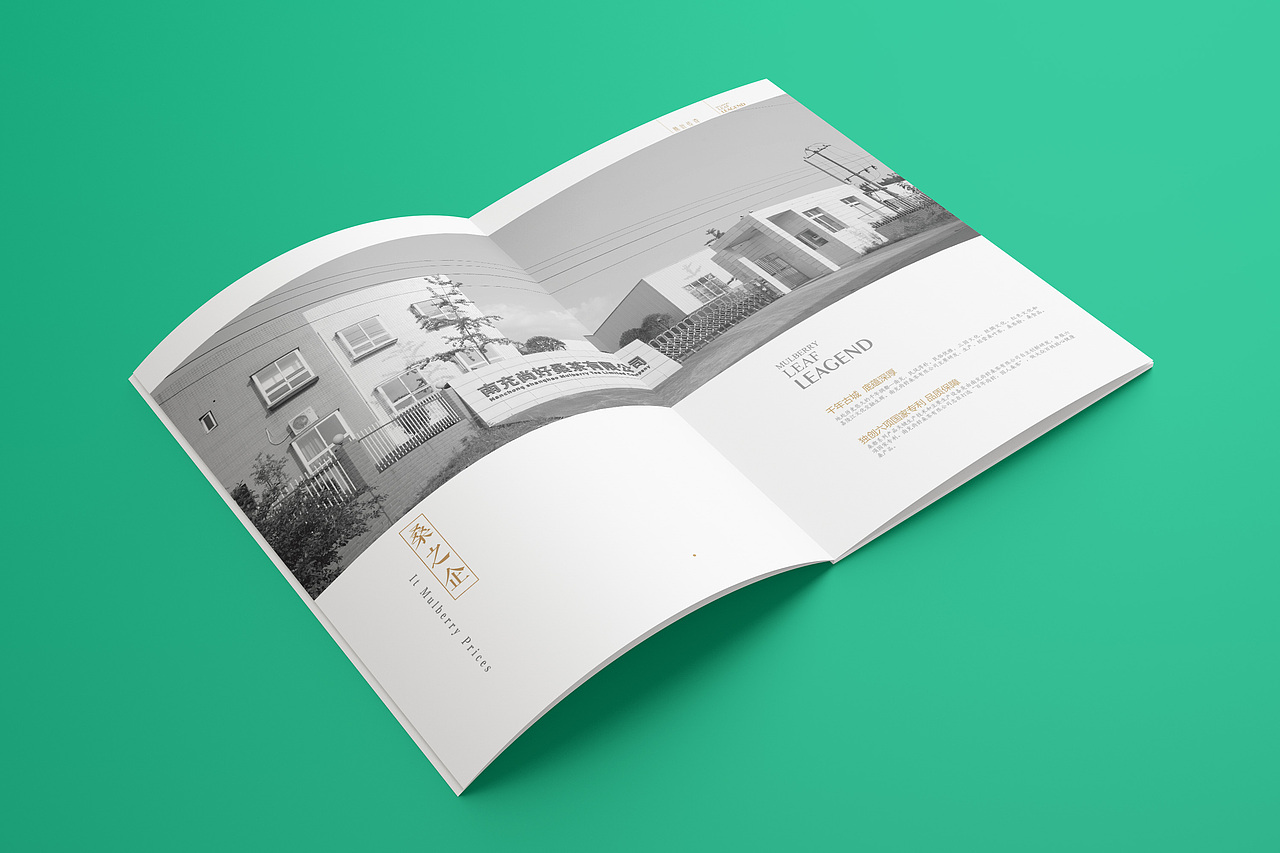 桑茶画册设计（图ZMTczODE0MDky） - 书籍/画册 - 站酷设计师设计小臣原创素材 - 站酷ZCOOL