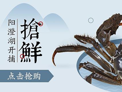 一堆大闸蟹