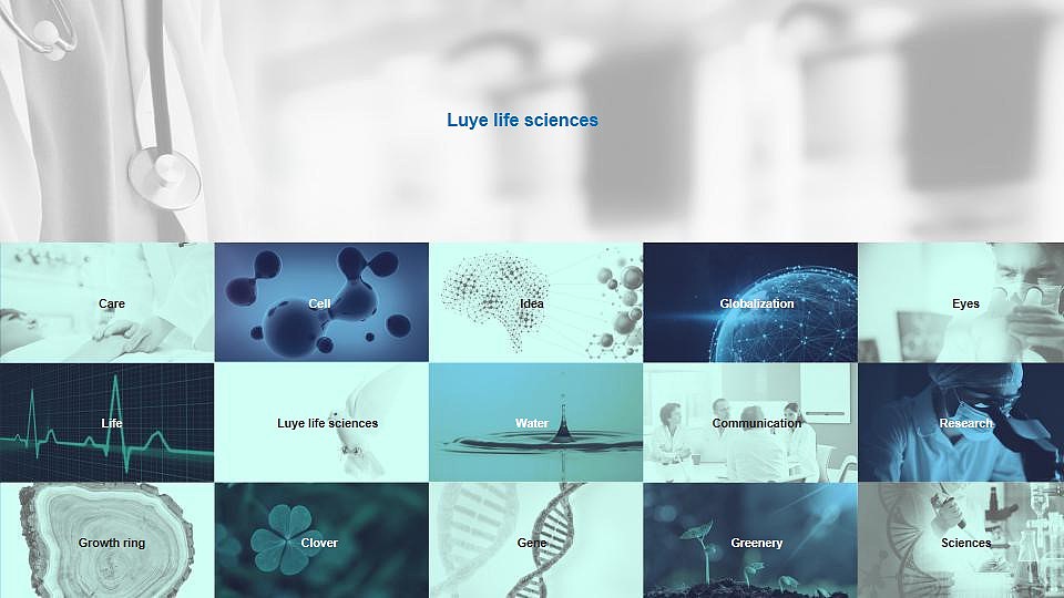 绿叶生命标志修改提案（图ZMjM2MDg5OTM2） - Logo - 站酷设计师许天博原创素材 - 站酷ZCOOL