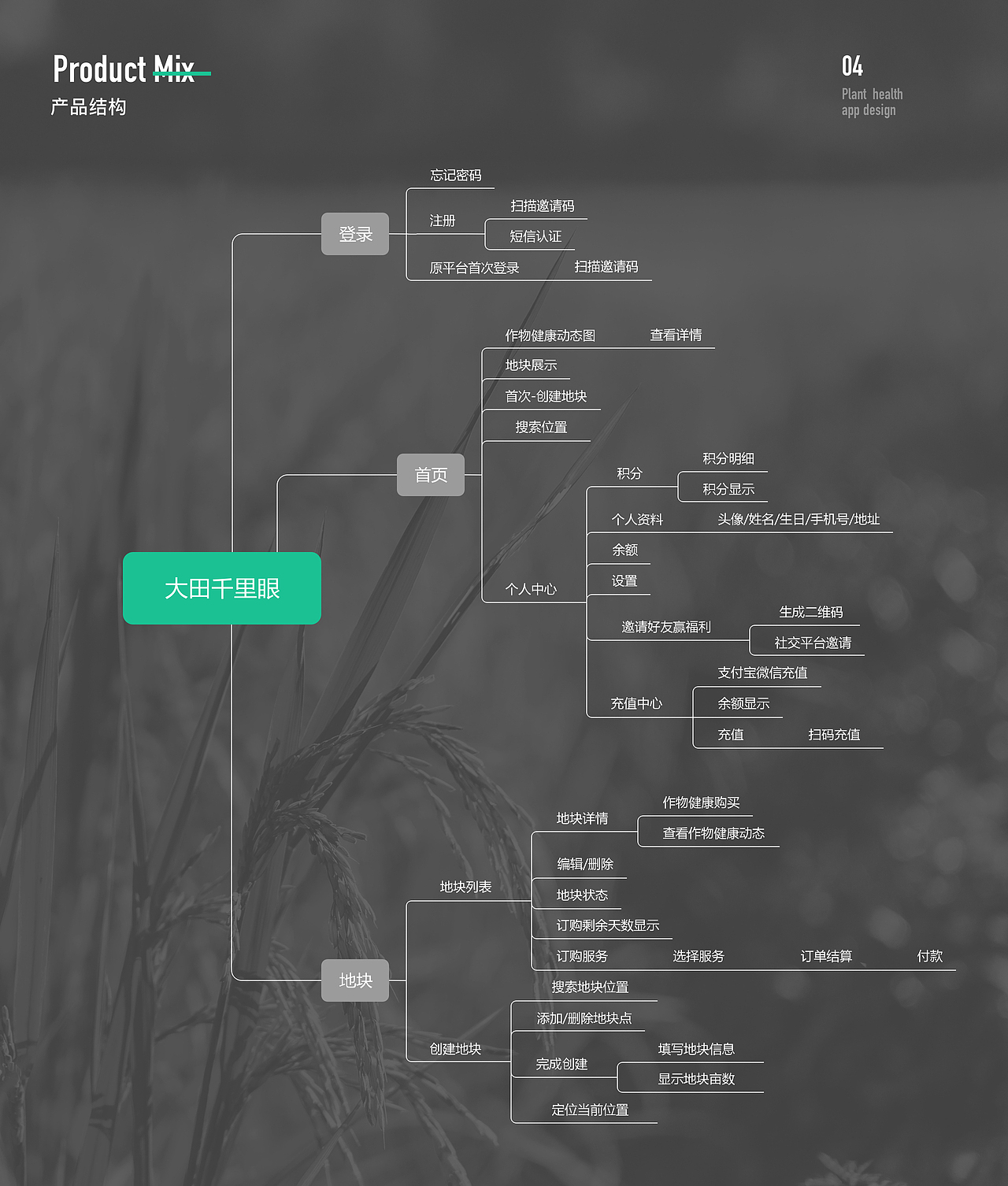 大田千里眼app