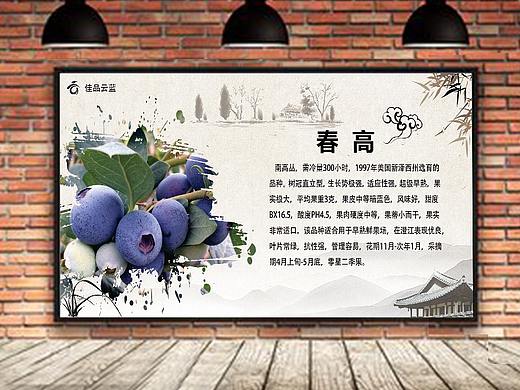 展板