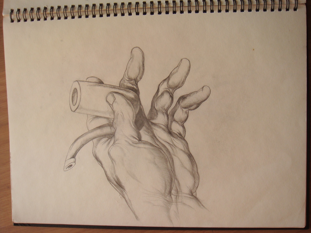 临摹伯恩霍加斯的习作