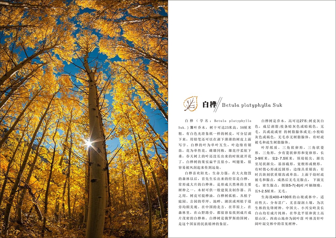 个人部分作业及作品