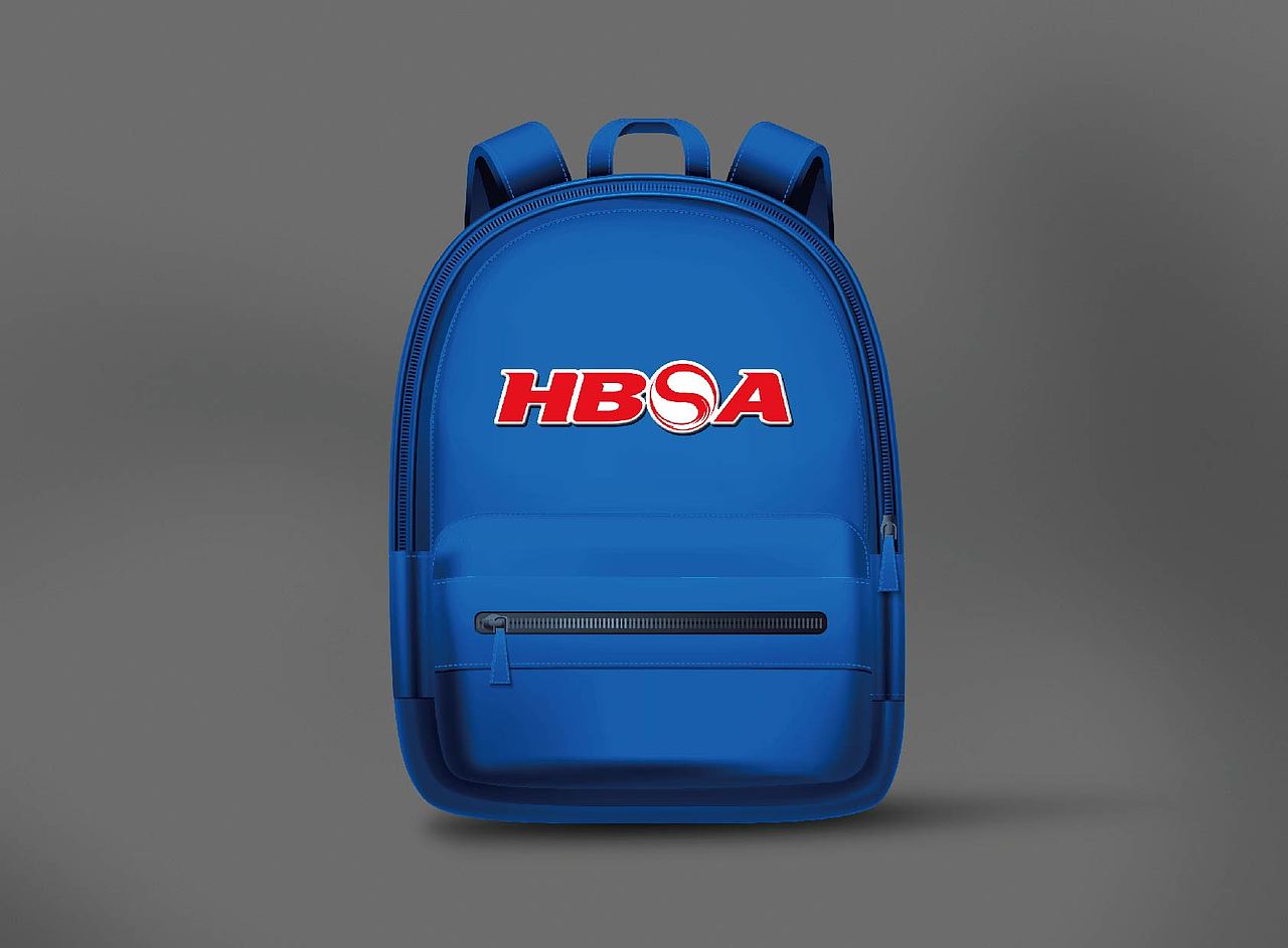 成都市高新区棒垒球协会VI