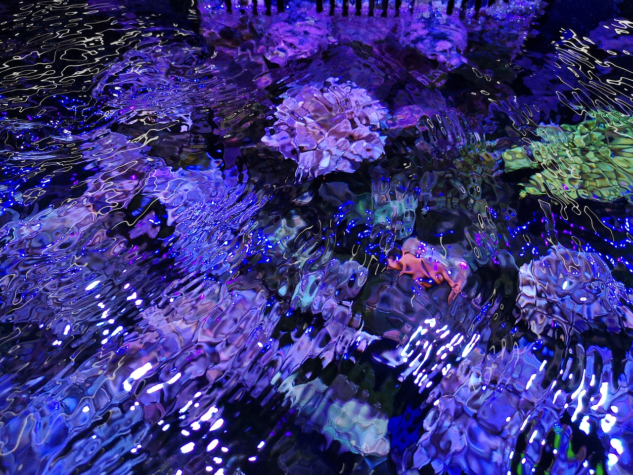 波光粼粼色彩斑斓（图ZMjY0MDE3NjY4） - 时尚/艺术摄影 - 站酷设计师多缤设计原创素材 - 站酷ZCOOL