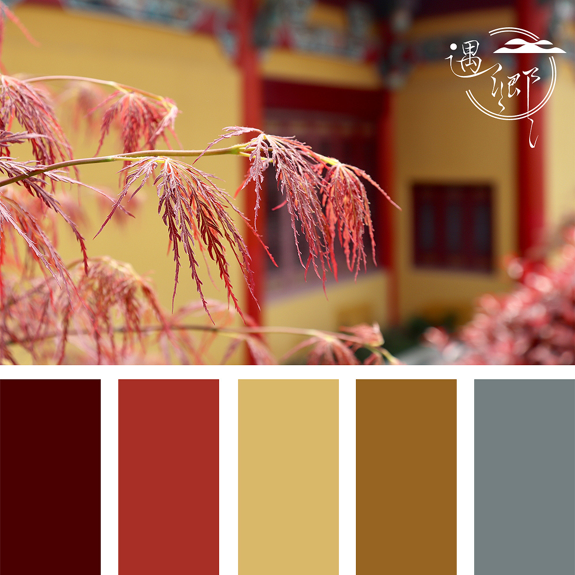 今日遇见——最美中国红·栖岩寺