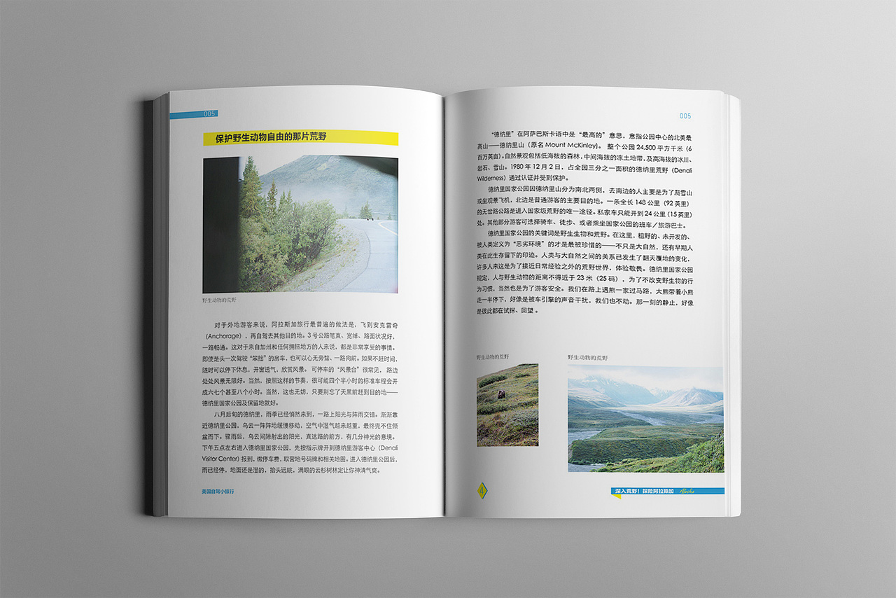 100种书籍排版版式设计作品（图ZMTkyNjc2NDIw） - 书籍/画册 - 站酷设计师视禾品牌原创素材 - 站酷ZCOOL