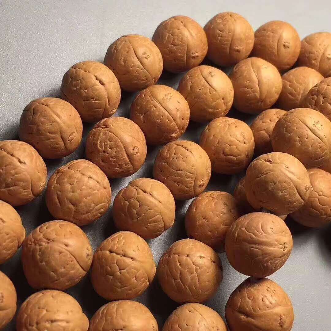 尼泊尔高山凤眼——龙掌柜文玩