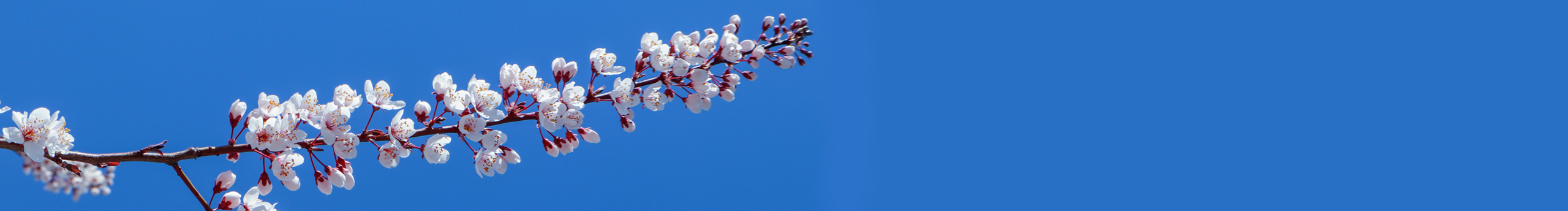 聕鈊的個(gè)人主頁（封面預(yù)覽） - 主頁封面設(shè)置 - 站酷設(shè)計(jì)師聕鈊原創(chuàng)素材 - 站酷ZCOOL