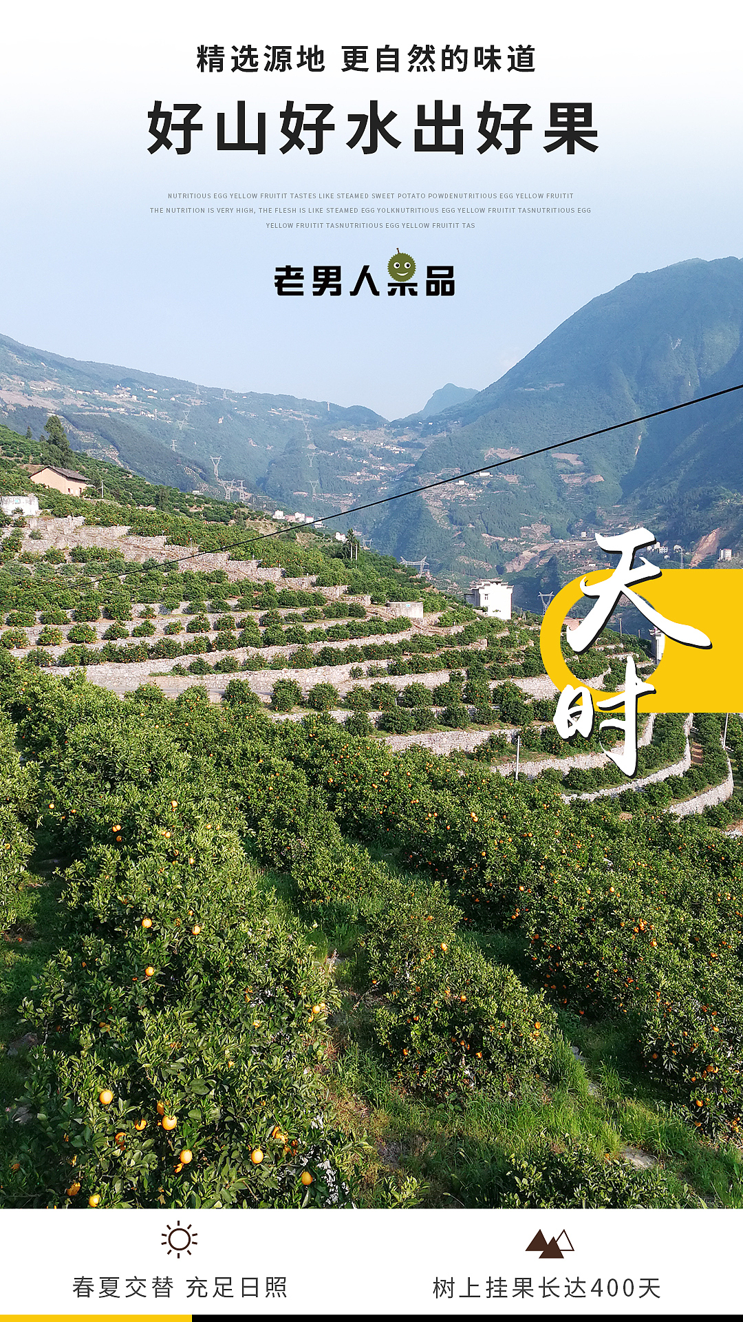 伦晚 手机端1080（图ZMTE3MDY5MzAw） - 宣传物料 - 站酷设计师邱公城原创素材 - 站酷ZCOOL