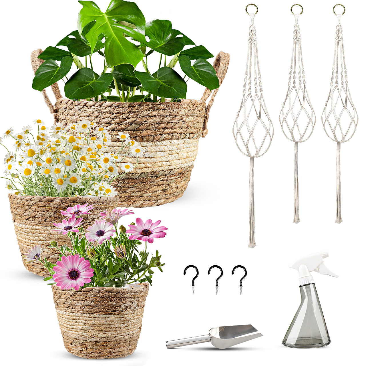 植物吊篮-亚马逊主图