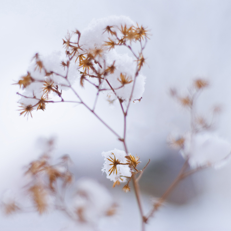 蜜桃姝的個人主頁（背景預覽） - 主頁背景設(shè)置 - 站酷設(shè)計師蜜桃姝原創(chuàng)素材 - 站酷ZCOOL