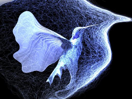 动物集（个人主页-ZMzAyMTc2NTY=） - 海报 - 站酷设计师吃丸子的章鱼原创素材 - 站酷ZCOOL