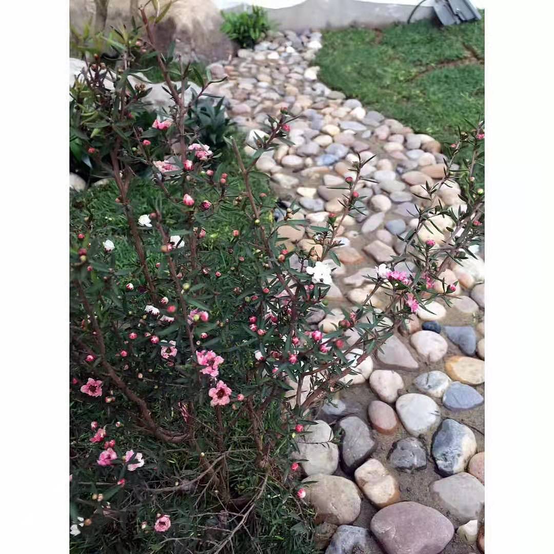 蚌埠天河湖绿色农庄 造景图（图ZMTg4ODI0ODY0） - 家装设计 - 站酷设计师素悉美学空间2原创素材 - 站酷ZCOOL