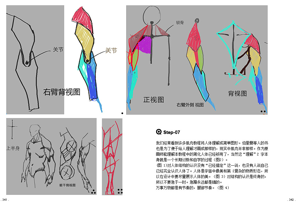 【曼奇立德】实用简化人体教程