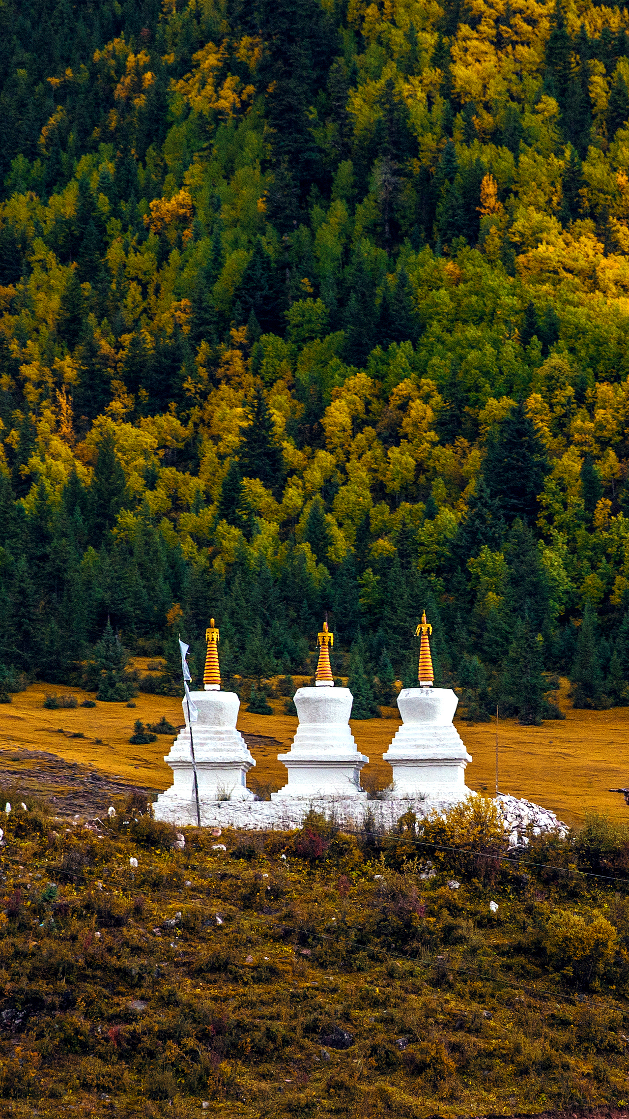一路向西 风景篇
