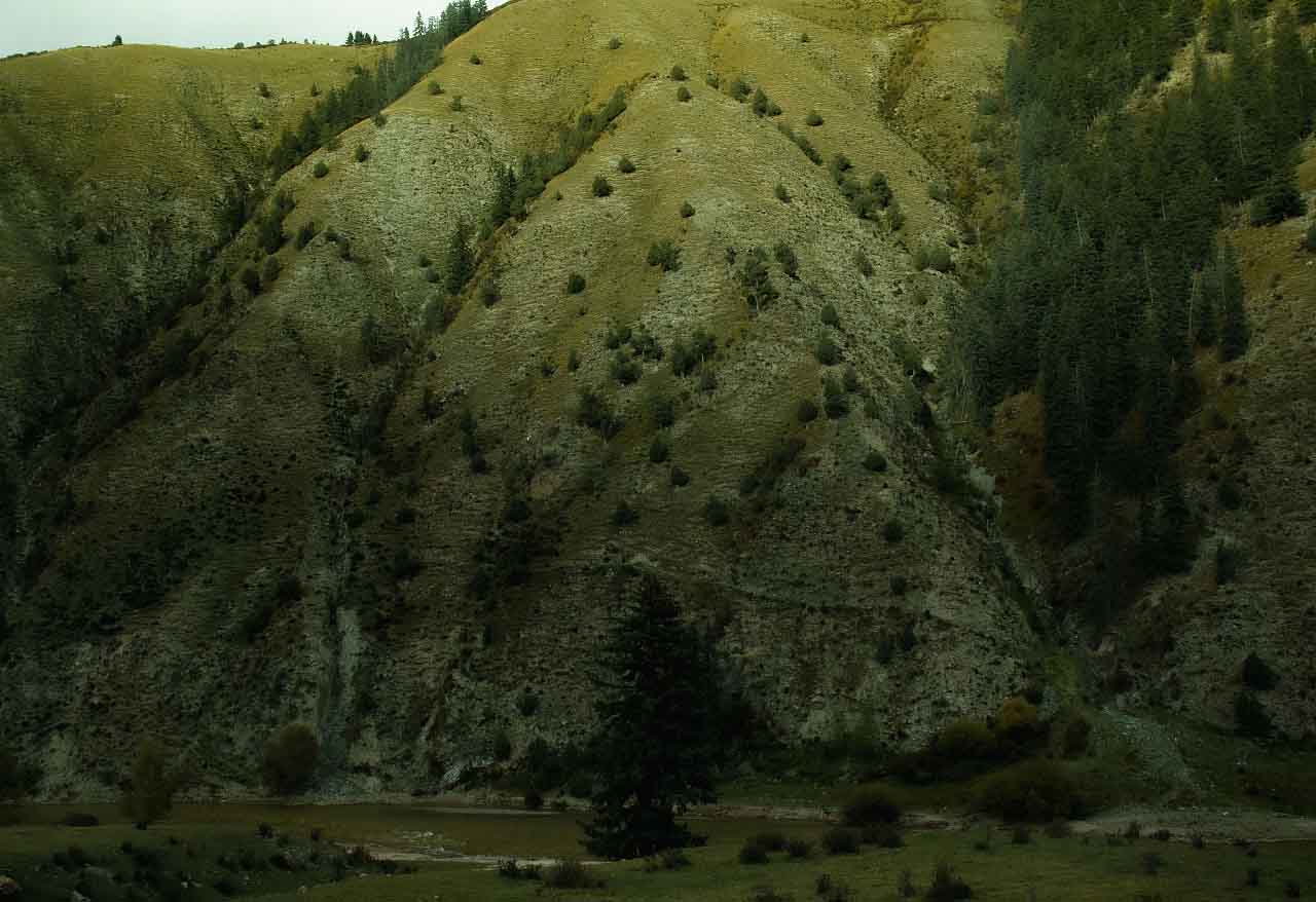 lhloo5549的個人主頁（封面預覽） - 主頁封面設置 - 站酷設計師lhloo5549原創(chuàng)素材 - 站酷ZCOOL