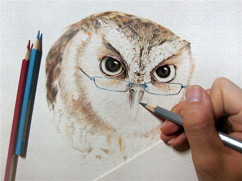 纸上彩铅-《福鸟花鸮》绘制过程（图ZMjcxNzMwMjg=） - 绘画 - 站酷设计师超超的青葱原创素材 - 站酷ZCOOL