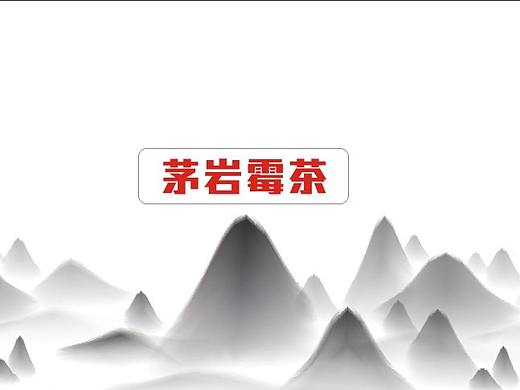 产品手册（个人主页-ZNDQ3OTMyOTY=） - 书籍/画册 - 站酷设计师一只小赵原创素材 - 站酷ZCOOL