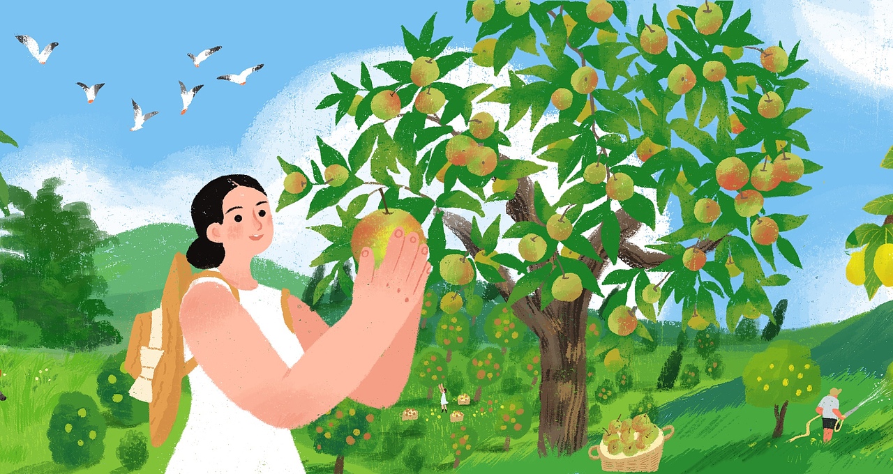 源味天诚 果干封面插画设计（图ZMjkwMDcxNzQw） - 商业插画 - 站酷设计师原路yl原创素材 - 站酷ZCOOL