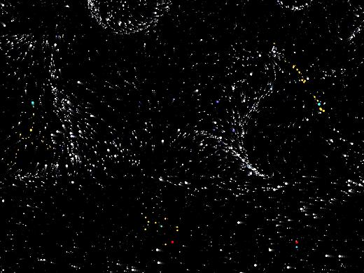 一个关于二维码的毕业设计