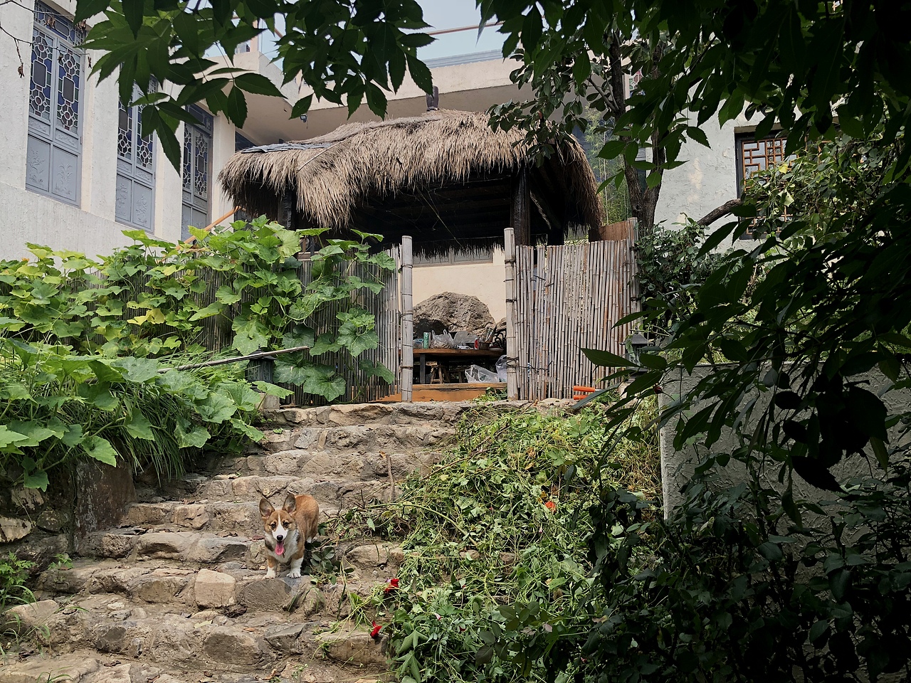 西山会所 别墅（图ZMTM0ODc3NTM2） - 建筑设计 - 站酷设计师东方意原创素材 - 站酷ZCOOL