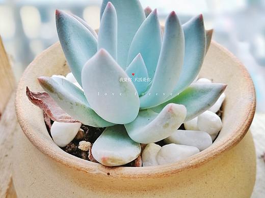 肉肉摄影（个人主页-ZMjgwNDExOTY=） - 风光摄影 - 站酷设计师爱画画的宋先生原创素材 - 站酷ZCOOL