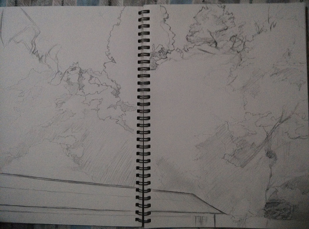 14年,昆明黑龙潭干休所大院内