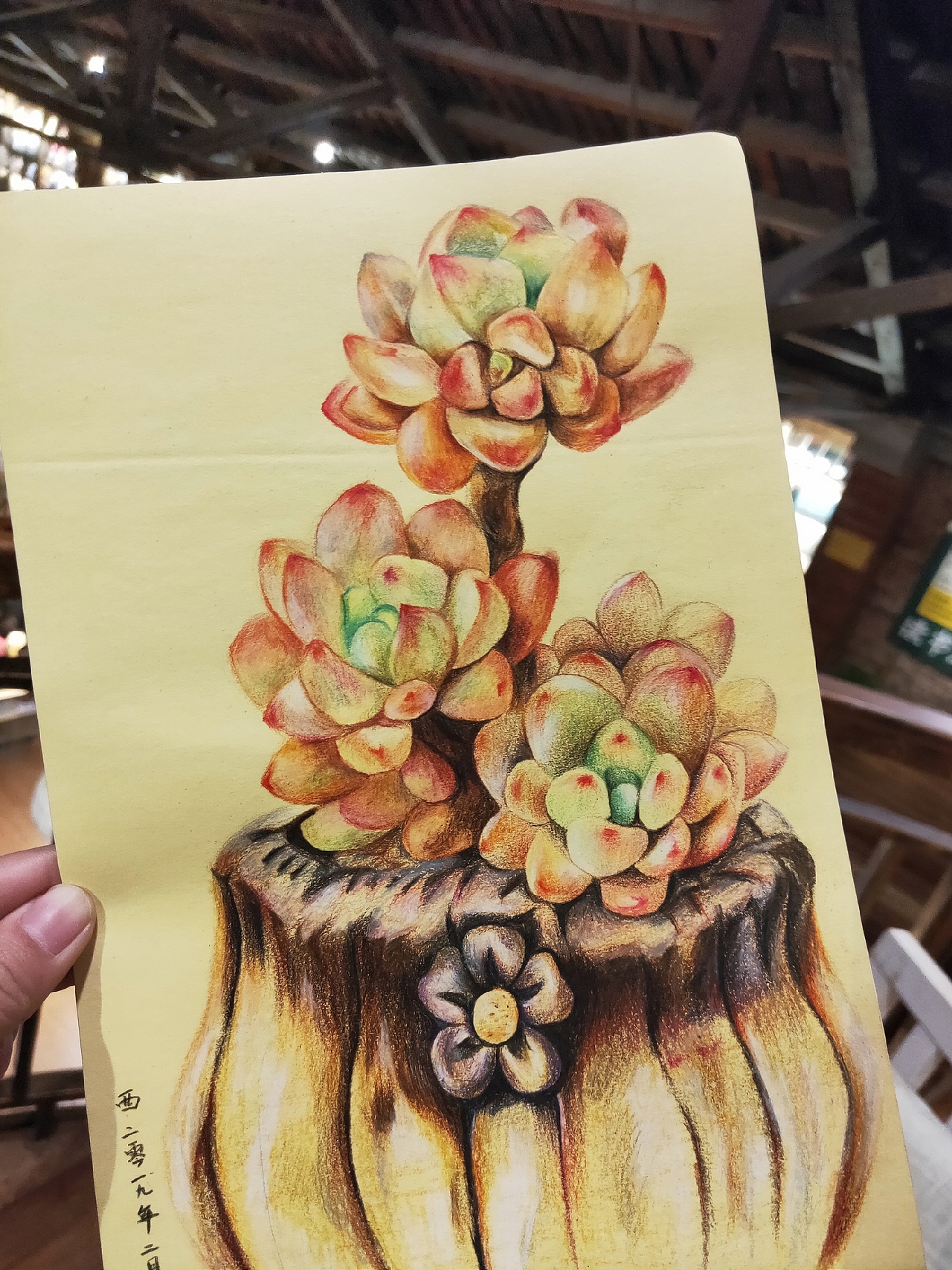 彩铅手绘—多肉植物（图ZMTQ4MjgyOTUy） - 绘画 - 站酷设计师西西喜2021原创素材 - 站酷ZCOOL