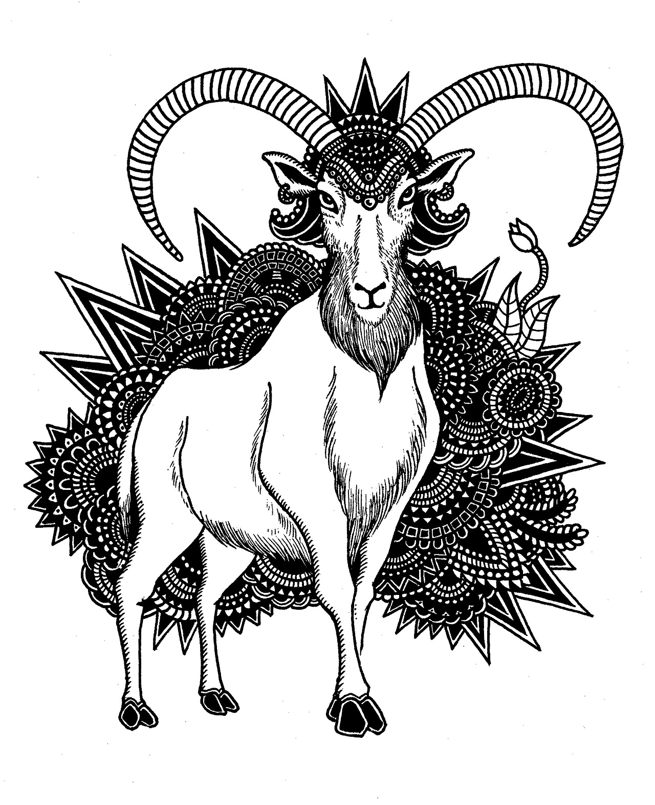 "黑白刺客"墩小贤的2015作品总结