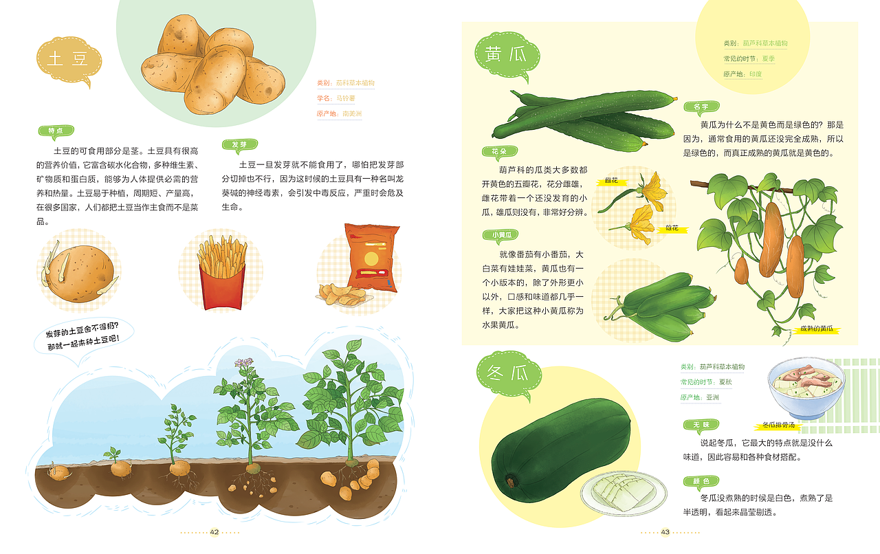 去野花-水果蔬菜（图ZMjgxMzE4MTky） - 绘本 - 站酷设计师高傲的喵原创素材 - 站酷ZCOOL