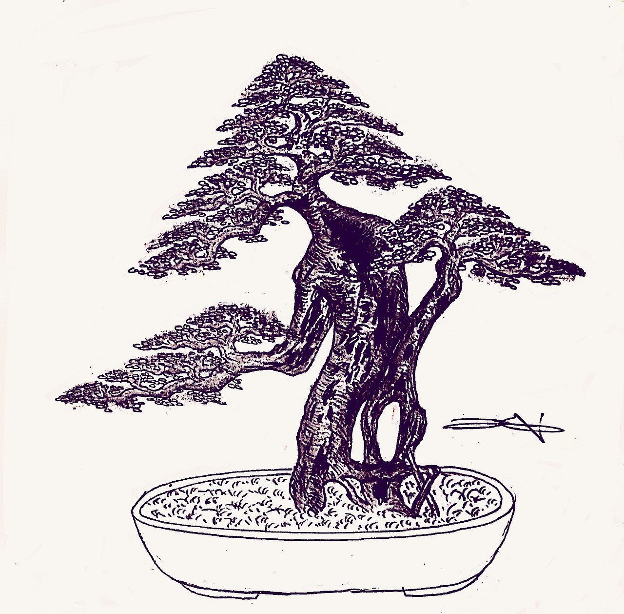 金弹子盆景设计效果图（图ZMTY2OTE4NTQ4） - 绘画 - 站酷设计师慧武原创素材 - 站酷ZCOOL