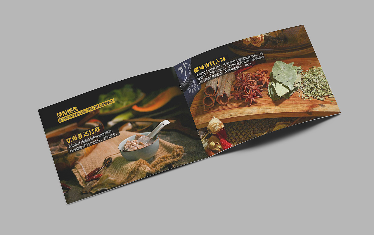 鸭脖 项目建议书