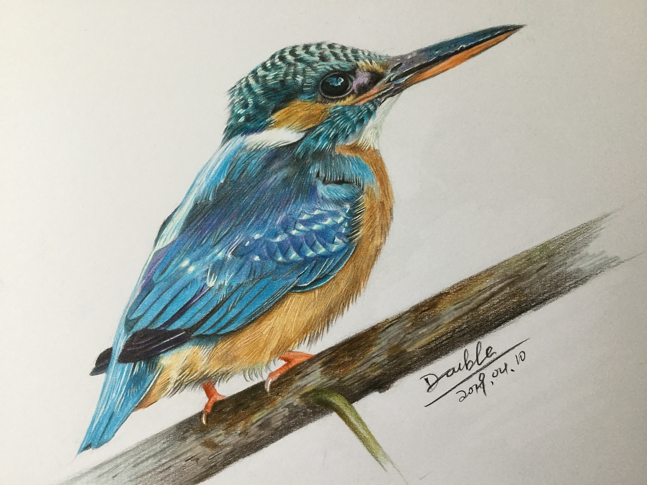 翠鸟|纯艺术|绘画|一一一double - 原创作品 - 站酷 (zcool)